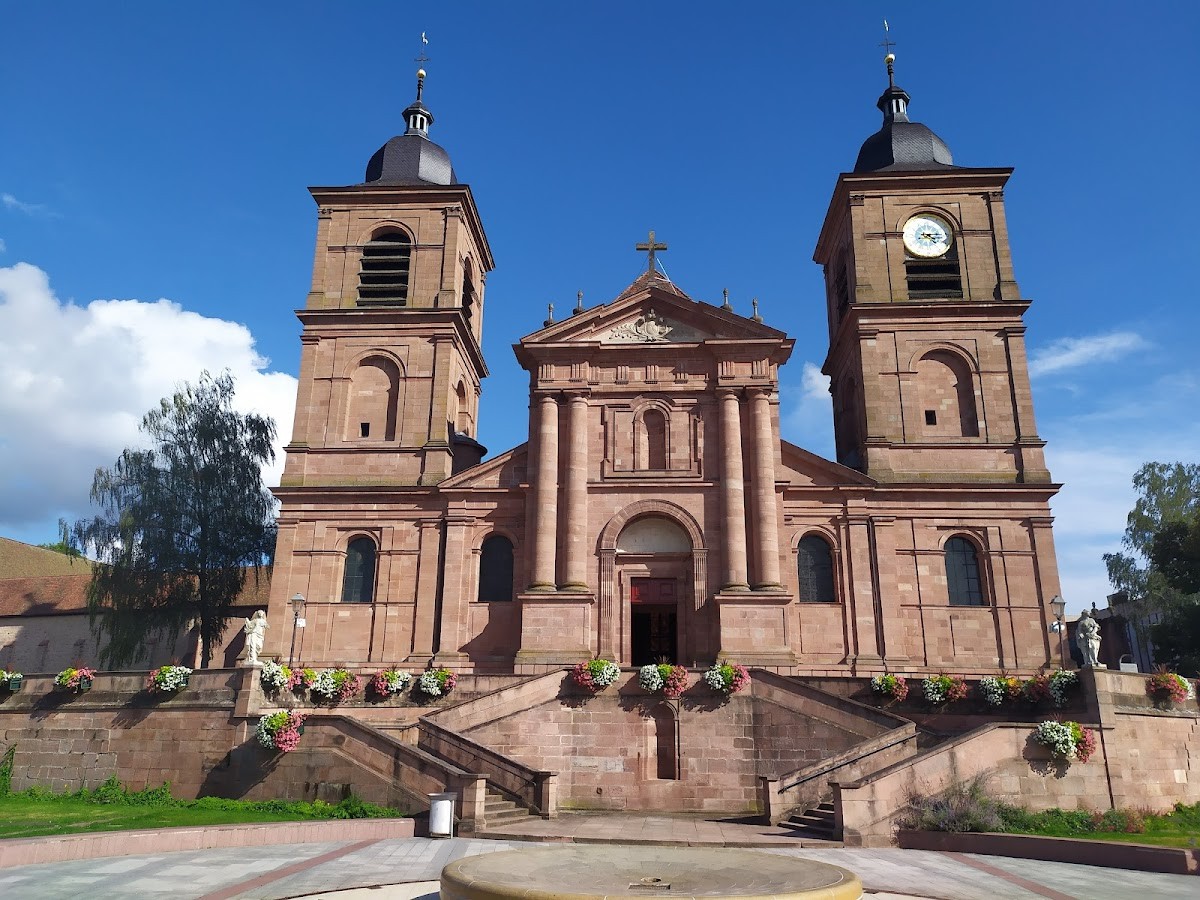 Saint-Di-des-Vosges (88100) - Classement et comparatif de la ville -  pourquoi y habiter ? Qualit de vie, nature, mto, risques, activits...  Dcouvrez la ville !